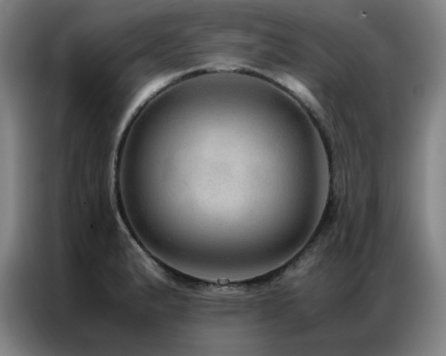 X0000087331183200704201122