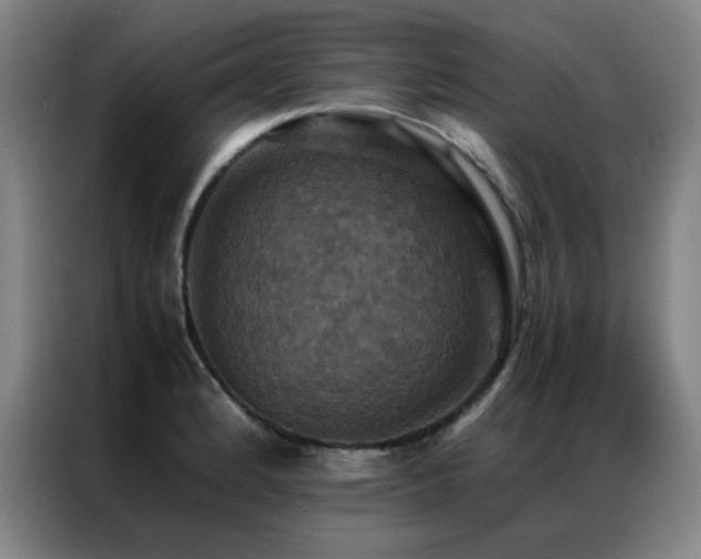 X0000087331184200704201122
