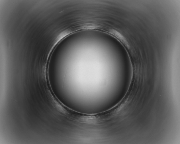 X0000087331186200704201122