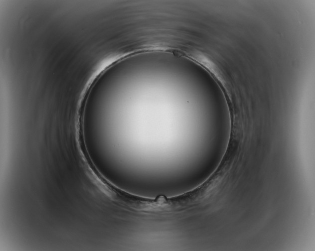 X0000087331187200704201122