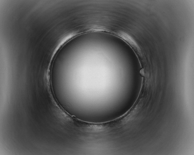 X0000087331190200704201122