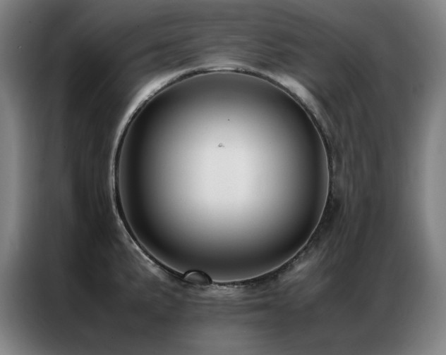 X0000087331191200704201122
