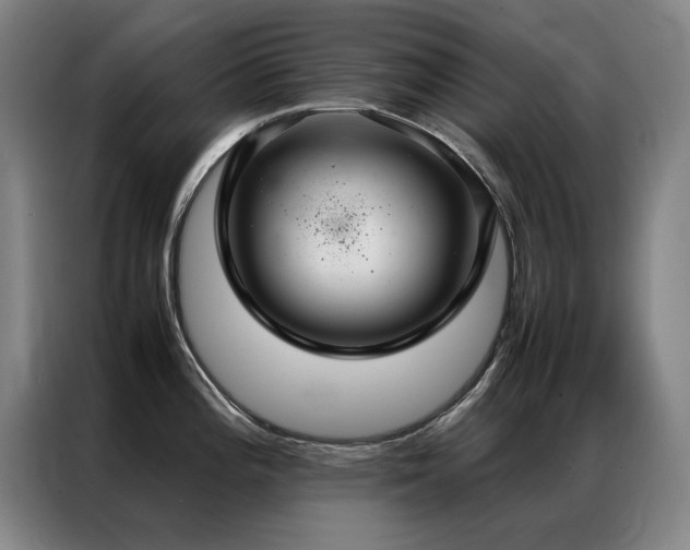X0000087331196200704201122