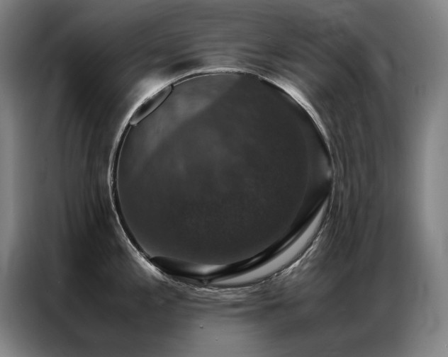X0000087331197200704201122