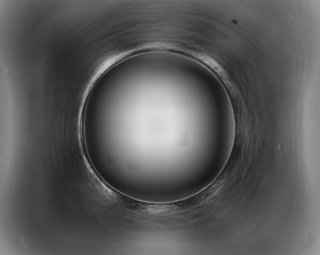 X0000087331199200704201122