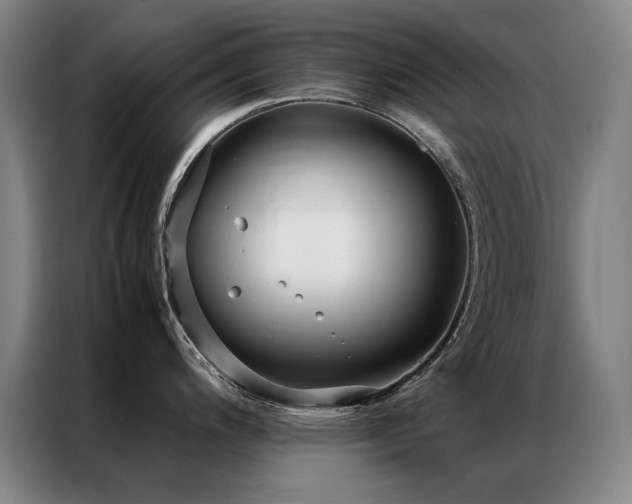 X0000087331200200704201122