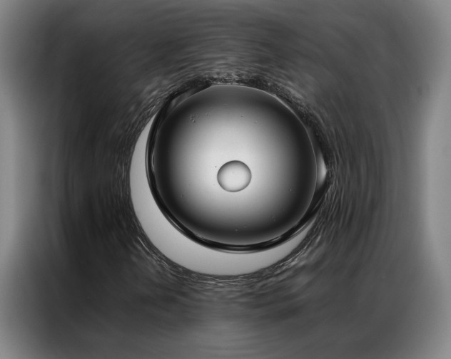 X0000087331202200704201122