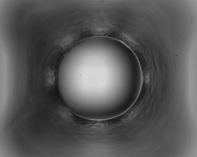 X0000087331204200704201122