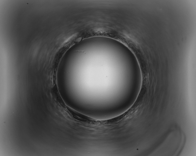 X0000087331205200704201122