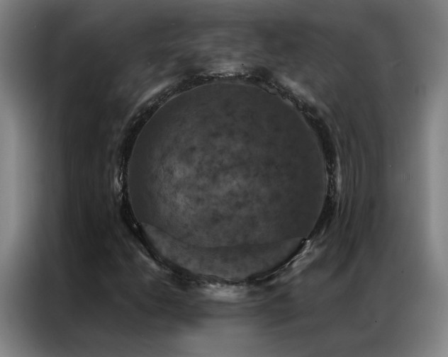 X0000087331206200704201122