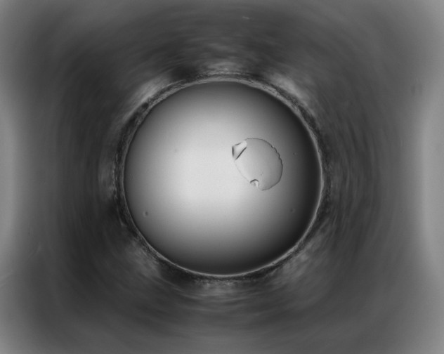 X0000087331211200704201122