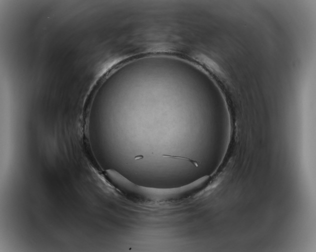 X0000087331212200704201122