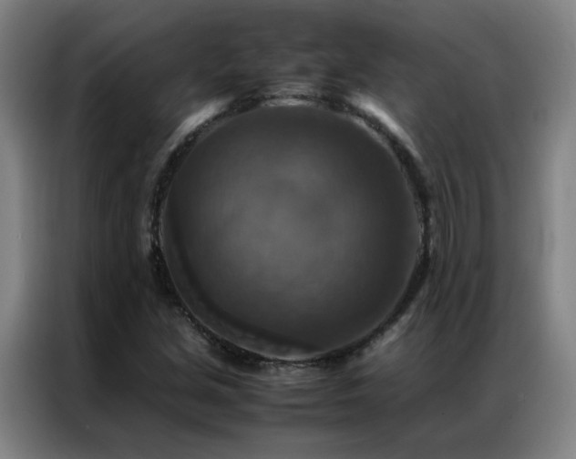 X0000087331213200704201122