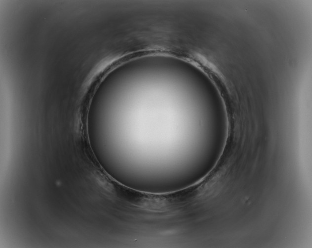 X0000087331215200704201122