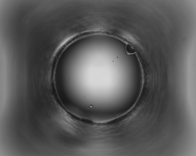 X0000087331216200704201122