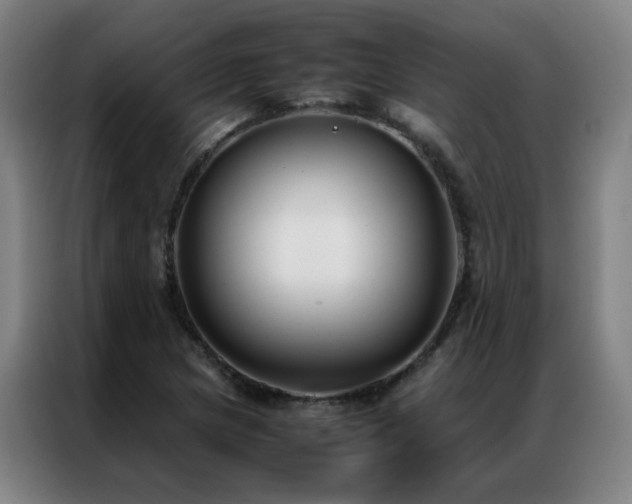 X0000087331217200704201122