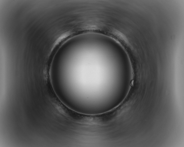 X0000087331218200704201122