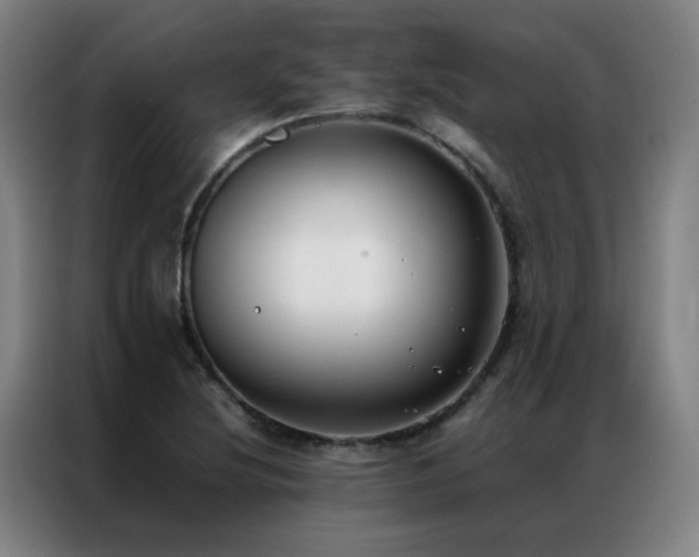X0000087331220200704201122