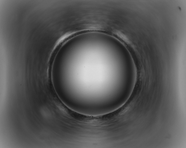 X0000087331222200704201122