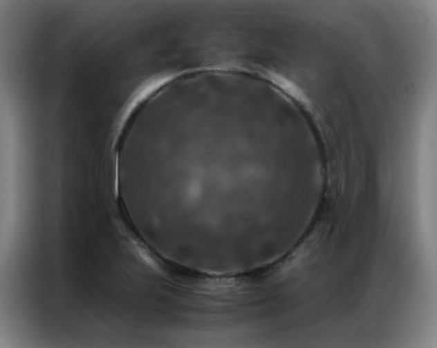 X0000087331223200704201122