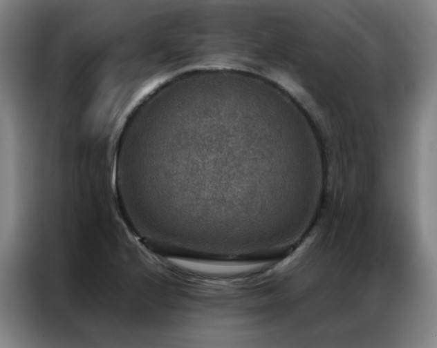X0000087331224200704201122