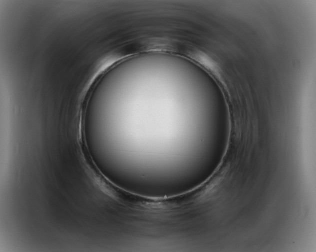 X0000087331227200704201122
