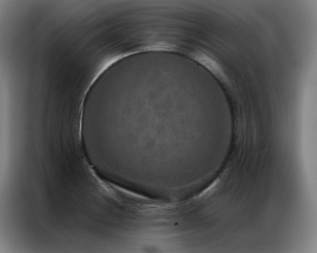 X0000087331228200704201122
