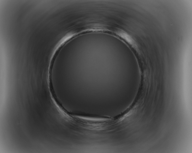 X0000087331229200704201122