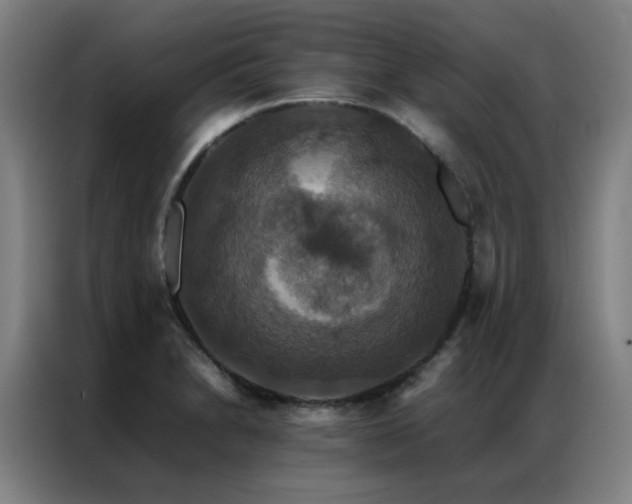 X0000087331230200704201122