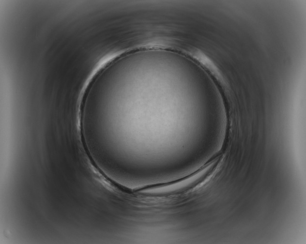 X0000087331232200704201122
