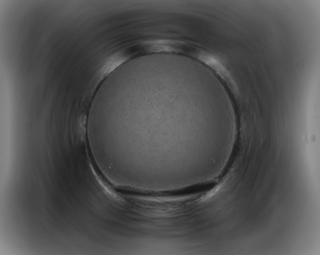 X0000087331233200704201122