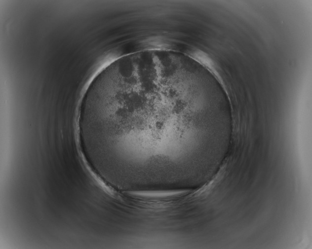 X0000087331235200704201122