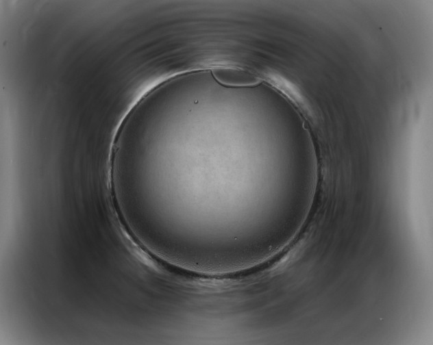 X0000087331236200704201122