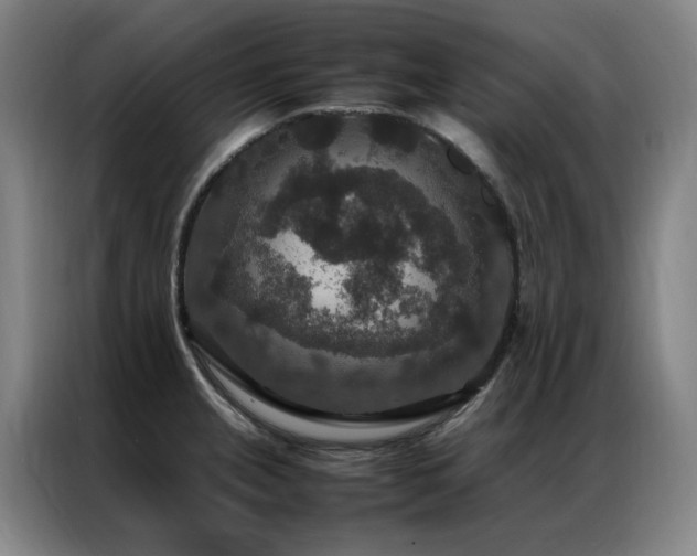 X0000087331237200704201122