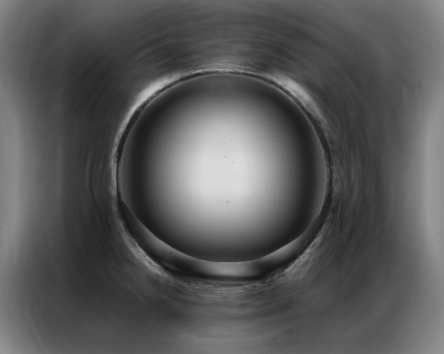 X0000087331238200704201122