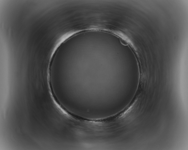 X0000087331239200704201122