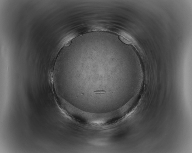 X0000087331241200704201122