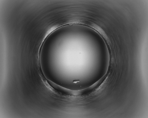X0000087331242200704201122