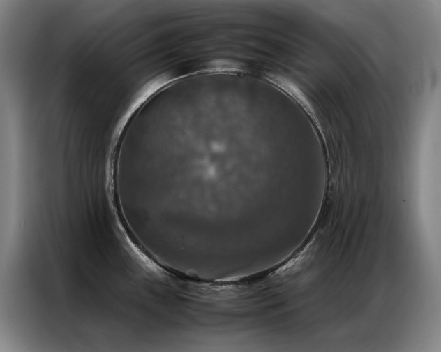 X0000087331243200704201122