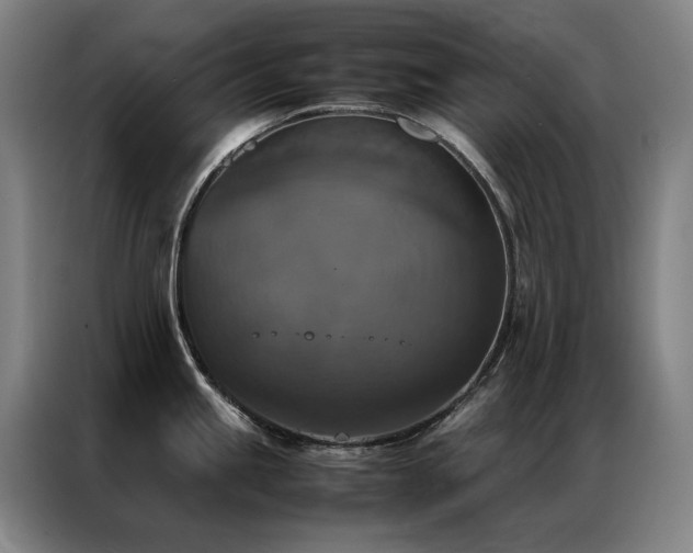 X0000087331245200704201122