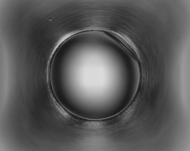 X0000087331246200704201122