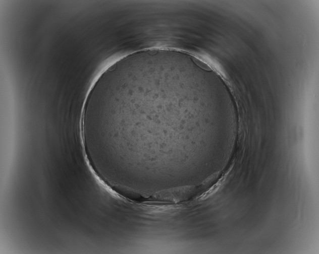 X0000087331247200704201122