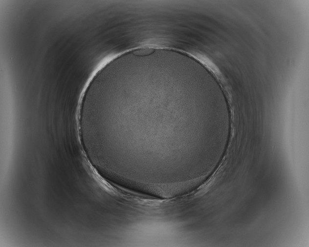 X0000087331248200704201122