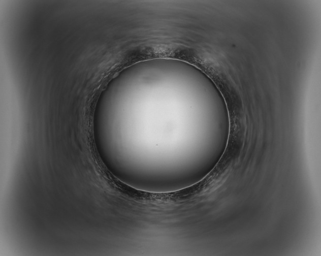 X0000087331249200704201122