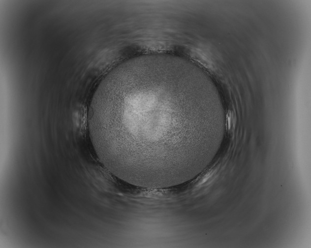 X0000087331251200704201122