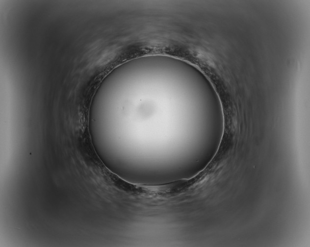 X0000087331253200704201122