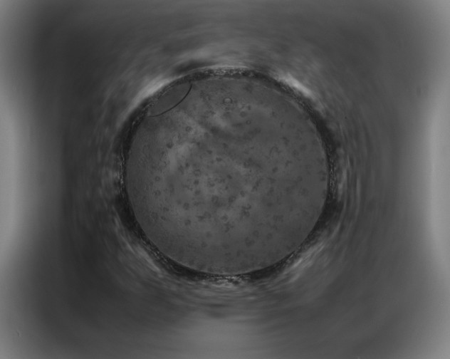 X0000087331255200704201122