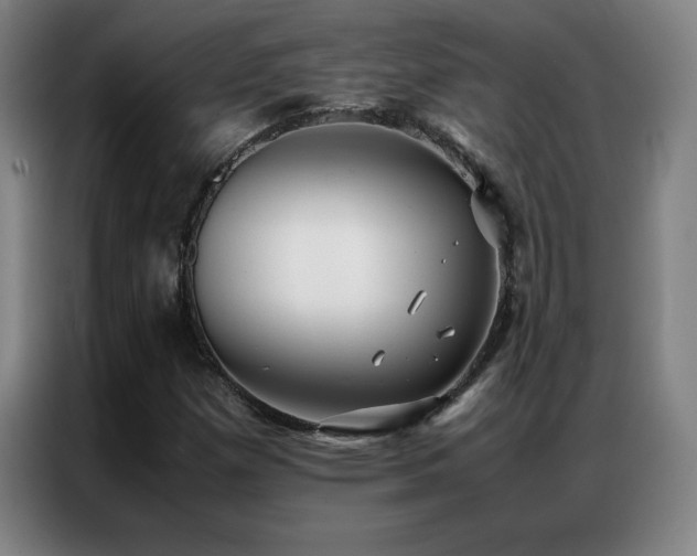 X0000087331257200704201122