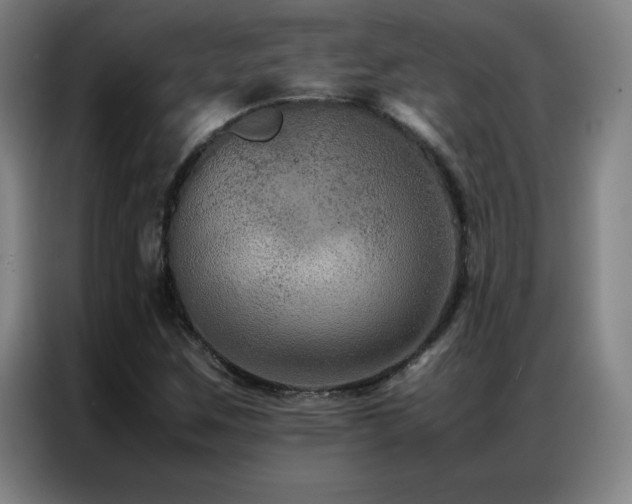 X0000087331259200704201122