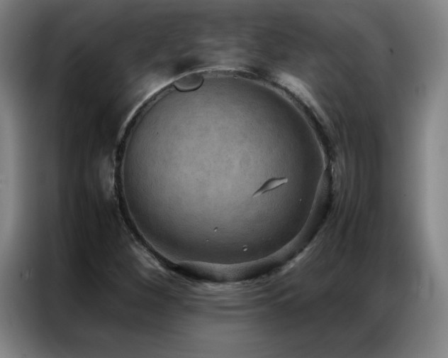 X0000087331260200704201122
